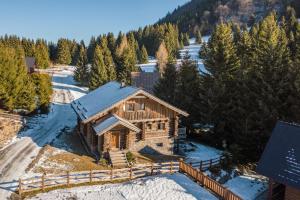 an aerial view of a log cabin in the snow at Chalet Vancouver in Donovaly