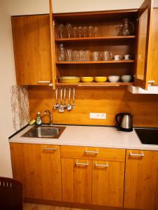 Kuchyňa alebo kuchynka v ubytovaní Apartmán Sedmička Horec