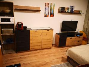 Televízia a/alebo spoločenská miestnosť v ubytovaní Apartmán Sedmička Horec