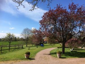 einen Weg in einem Park mit einem Baum und Blumen in der Unterkunft Domaine des Thyllères,Chalet Colvert in Beaufour