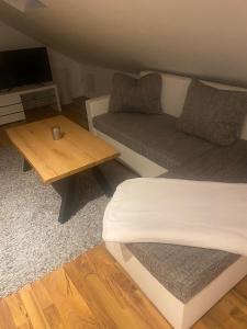 uma sala de estar com um sofá e uma mesa de centro em Gästehaus Birkenweg em Speyer