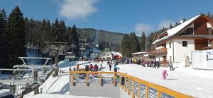 Hostia v ubytovaní Apartmán Nad terasou