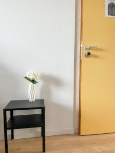 Fotografie z fotogalerie ubytování Hegau Boardinghouse v destinaci Singen