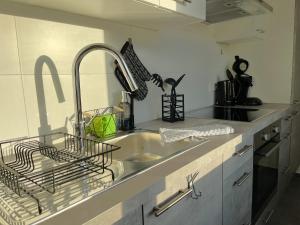 Kuchyň nebo kuchyňský kout v ubytování Hegau Boardinghouse