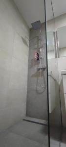 a shower with a glass door in a bathroom at Perfect Place 32 in Varaždin