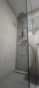 eine Dusche mit Glastür im Bad in der Unterkunft Perfect Place 32 in Varaždin