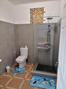 ein Bad mit einer Dusche, einem WC und Matten in der Unterkunft Khushi's Guest House - Cascavelle in Rivière Noire