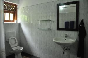 a bathroom with a sink and a toilet and a mirror at Villa Wunderschön in Bentota