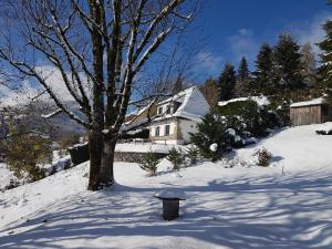 un patio cubierto de nieve con una casa y un árbol en Chalet avec vue panoramique sur le Plomb du Cantal, en Saint-Jacques-des-Blats 30 fotos más