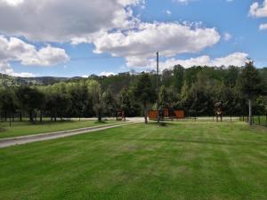 zielone pole z parkiem z placem zabaw w obiekcie DUET-ówka w mieście Dwernik