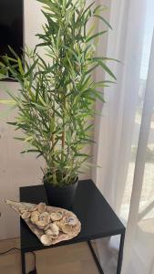 Fotografie z fotogalerie ubytování BUQEZ ECO RESORT - Beach Villa 37 and 40 v Pakoštane