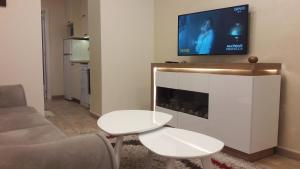 a living room with a couch and a tv above a fireplace at Apartment Dedinje Hill 2 in Belgrade