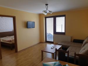Μια τηλεόραση ή/και κέντρο ψυχαγωγίας στο Apartmány Forró