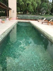 uma piscina com água verde ao lado de um banco em LOVELY MOUNTAIN HOUSE in a finca em Barreal