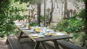 A garden outside Casale Scola Cetona