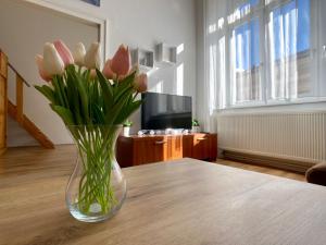 Fotografia z galérie ubytovania Flórián apartman v destinácii Pécs