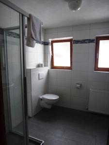 Ένα μπάνιο στο Chalet Alber +15 φωτογραφίες