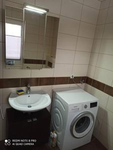 a bathroom with a washing machine and a sink at Gemütliches Ferienhaus im Harz direkt am Waldrand in Harzgerode