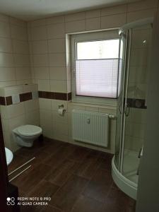 a bathroom with a toilet and a shower and a window at Gemütliches Ferienhaus im Harz direkt am Waldrand in Harzgerode