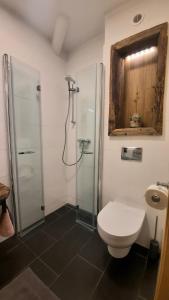 ein Bad mit einer Dusche und einem WC. in der Unterkunft Mad In Vienna in Wien