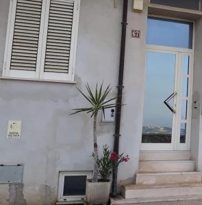 una casa con una palma di fronte ad una porta di Appartamento con incantevole panorama: Chieti alta a Chieti