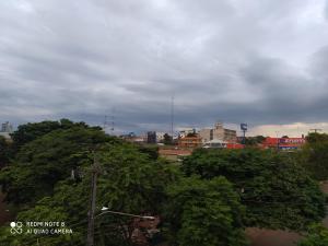 uma vista para uma cidade com árvores e edifícios em Apart cómodo y seguro a pasos de todo 33 em Ciudad del Este