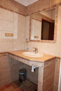Vannituba majutusasutuses Hotel Pelikán