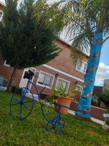 Una bicicleta azul en el césped junto a una palmera en Casa Con Pileta En Roldan en Roldán
