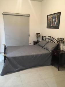 Cama o camas de una habitación en Suites Cervantes