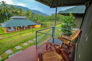 a balcony with two chairs and an umbrella at Birds Murmur Camp, Thattekkad in Cochin