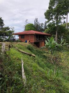 ein Haus auf einem Grashügel mit einem Gebäude in der Unterkunft Log Cabin in Tinamaste Valley, Habacuc Woods, BARÚ in Platanillo