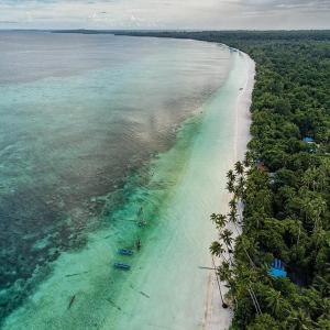 an aerial view of a beach with trees and water at 3 Maria Cottage in Ngurblut
