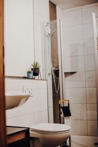 a bathroom with a toilet and a sink at Ferienwohnung Karussell in Siebenbach