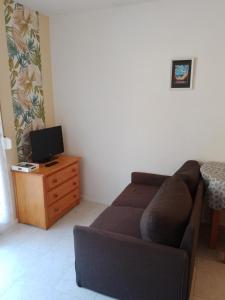 a living room with a couch and a television at Studio pour cure Eugénie les Bains in Eugénie-les-Bains