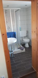 a bathroom with a sink and a toilet at Zum Alten Fährmann in Naumburg +22 photos