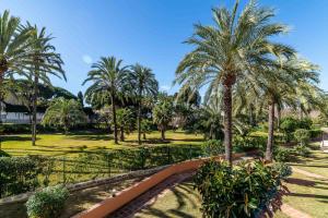 A garden outside Super nice studio in Marbella