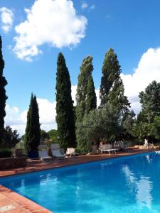 フィレンツェにあるFattoria Il Milione Agriturismoの木々が茂るスイミングプール