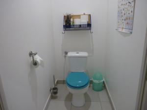a bathroom with a toilet with a blue seat at la belle bleue in Banyuls-sur-Mer