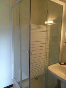 La salle de bains est pourvue d'une douche en verre et d'un lavabo. dans l'établissement La Ferme aux Sangliers - Micalet, à Issor