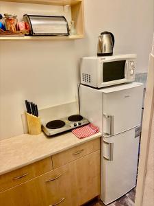 a small kitchen with a microwave and a refrigerator at Ubytování v soukromí Luhačovice - Pozlovice in Luhačovice