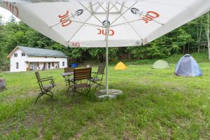a table and chairs under an umbrella in a field at Cabana cu Flori in Porumbacu de Sus