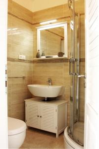 a bathroom with a sink and a toilet and a mirror at Apartment LuVi in Korčula