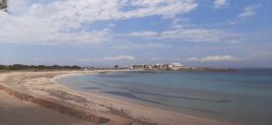 Fotografie z fotogalerie ubytování Estudios Nandy v destinaci Es Pujols + 13 fotografií