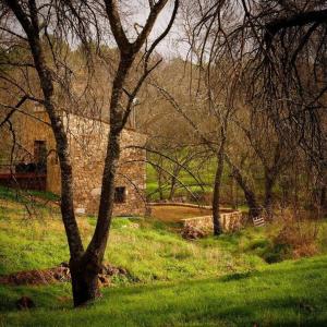 A garden outside Molino Mellado