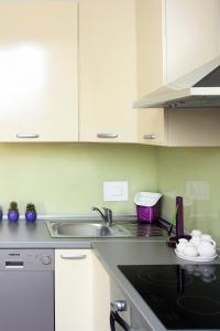 a kitchen with a sink and a counter top at Apartment LuVi in Korčula