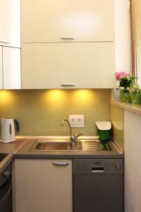 a kitchen with a sink and a counter top at Apartment LuVi in Korčula