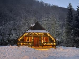 Cottage in the wild Pješčanica בחורף