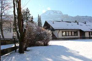 una casa en la nieve con una montaña en el fondo en Ferienwohnung Keßler en Bad Hindelang