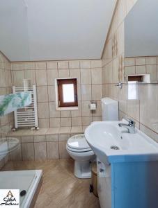 a bathroom with a sink and a toilet and a tub at Casa Andreas in Zărneşti