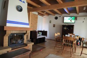 a living room with a fireplace and a television at Old Fane's Lodge in Măraşu